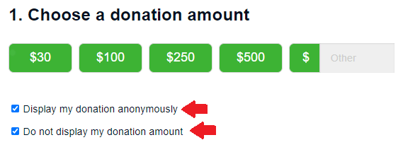 screenshot of donation page