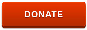 Red button that says "DONATE NOW"