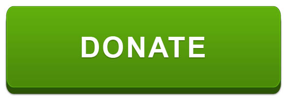 green button with white text reading, "DONATE"